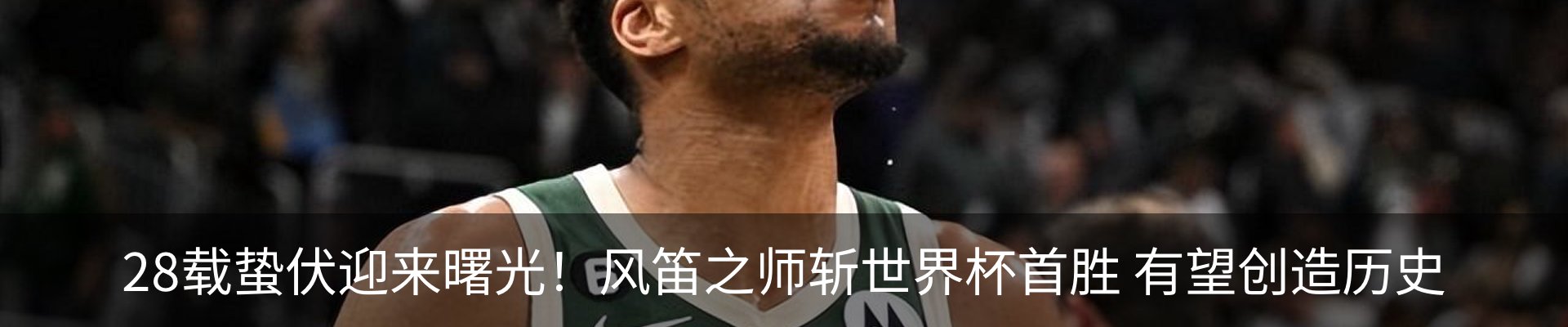 新闻动态